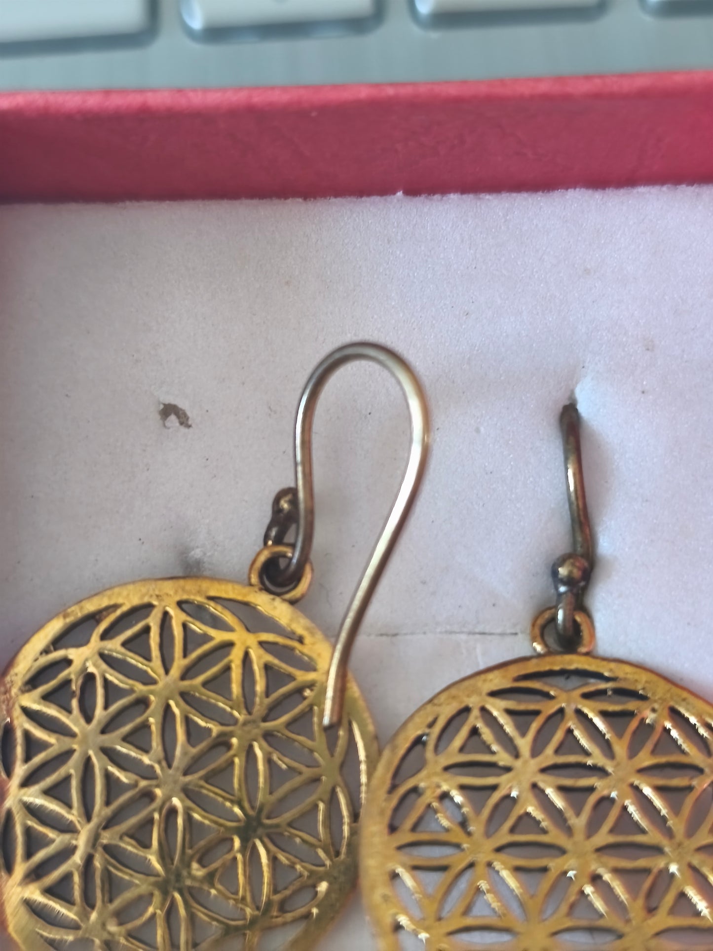 Boucles d'oreilles