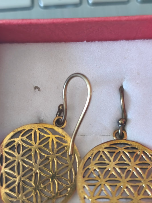 Boucles d'oreilles