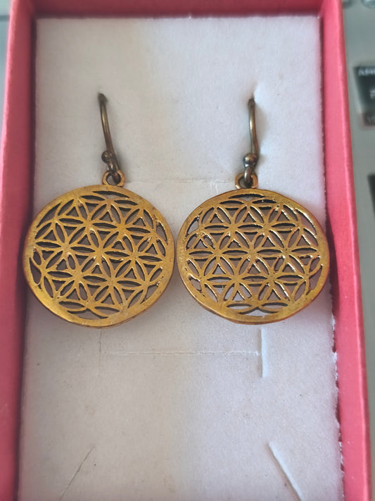 Boucles d'oreilles